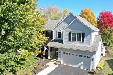 org_062e0cd82ef2d3f5_1729443570000