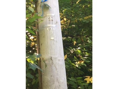 1523 Mcmillan Rd, Halifax, VT 05342 - photo 5