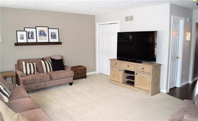 Large living room with storage closet and open lay