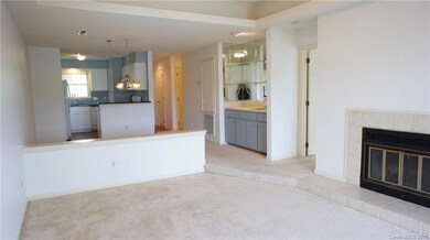9801 Emerald Point Dr unit 14, Charlotte, NC 28278 - photo 5