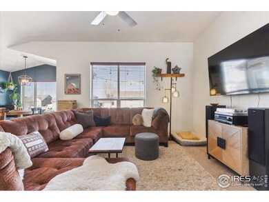 4507 Moose St, Johnstown, CO 80534 - photo 5