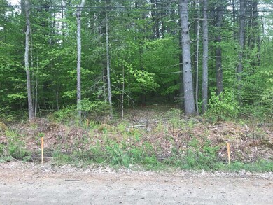 Lot 3 N Wakefield Rd unit Lot 1 on tax map, Wolfeboro, NH 03894 - photo 5