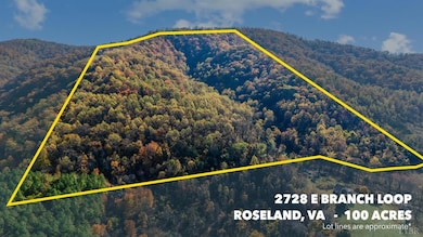 2728 E Branch Loop, Roseland, VA 22967 - photo 2