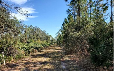 0 SW Brown Rd, Lee, FL 32059 - photo 4