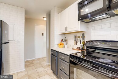 Barcroft Hills Condominium unit 910, Baileys Crossroads, VA 22041 - photo 6