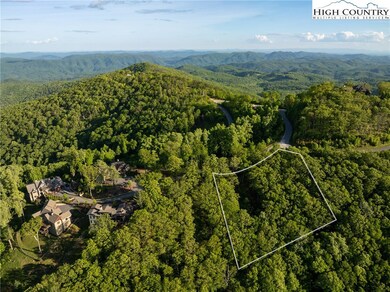 *Homesite outline in photos is not a survey and th