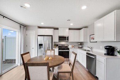 13688 Kaylemore Trail, Rosemount, MN 55068 - photo 4