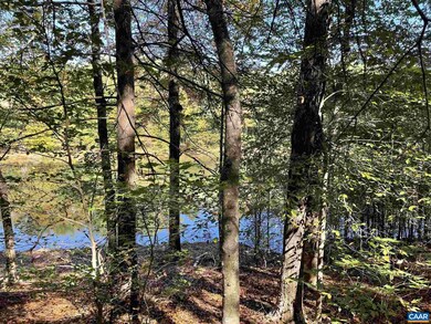 Lot A6 High Crest Ln unit A6, Nellysford, VA 22958 - photo 6