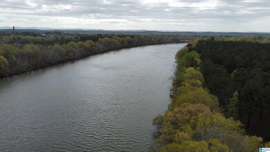 551 Liberty Shores Blvd, Vincent, AL 35178 - photo 5