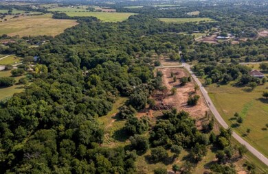 800 Wood Hollow Dr, Weatherford, TX 76087 - photo 6