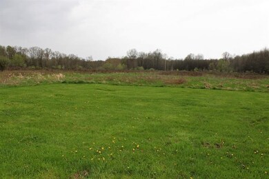 Back of property