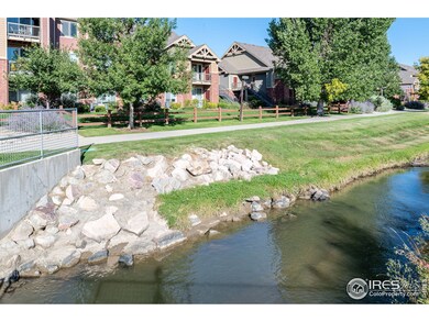 804 Summer Hawk Dr unit 5104, Longmont, CO 80504 - photo 4