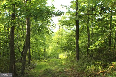 38.71ac Lower Timber Ridge Rd, Seneca Rocks, WV 26884 - photo 7
