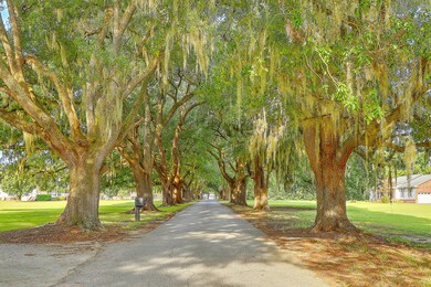 328 Avenue of Oaks, Moncks Corner, SC 29461 - photo 3