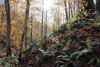 0 Middle Fork Greasy Creek Rd, Boons Camp, KY 41204 - photo 4