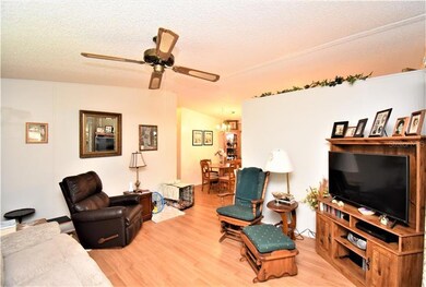 35214 Lindsey Ln, Zephyrhills, FL 33541 - photo 3