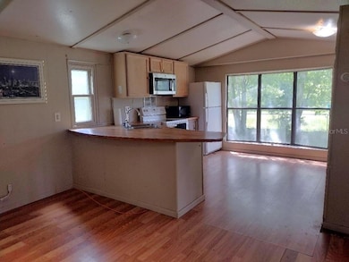 2667 Pine St, Bunnell, FL 32110 - photo 6