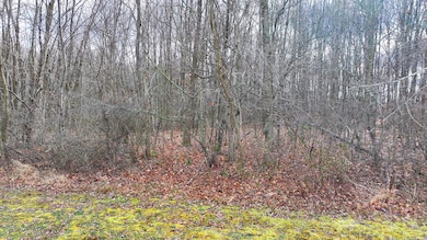 5668 St Rt 288 Lot C, Galion, OH 44833 - photo 4