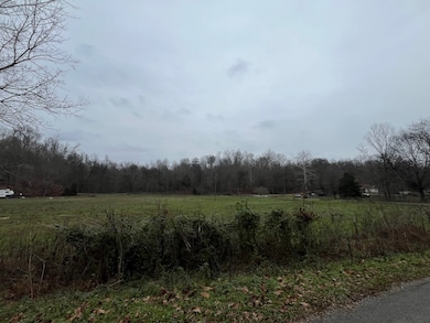 000 Walnut Grove Rd, Waynesboro, TN 38485 - photo 3