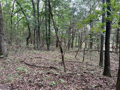 unlisted-address, Elkins, AR 72701 - photo 6