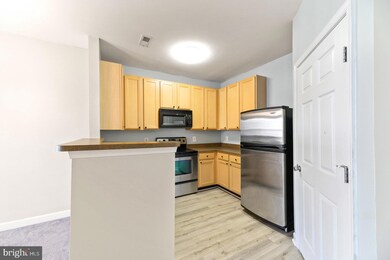 22725 Thimbleberry Square unit 202, Ashburn, VA 20148 - photo 6