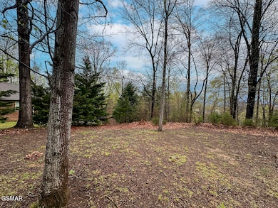 0 David Swann Dr unit 309362, Dandridge, TN 37725 - photo 7