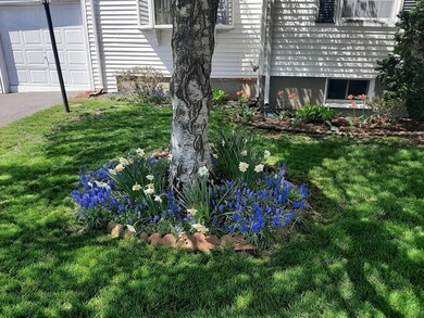 43 Vinal St, Revere, MA 02151 - photo 6