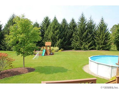 Backyard.