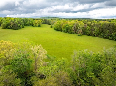 24-web-or-mls-DJI_20250505100208_0081_D-