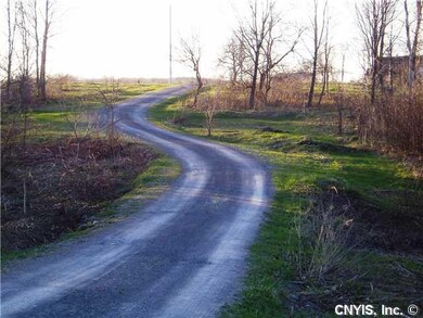 Land. Looking up toward the road. As you can see t
