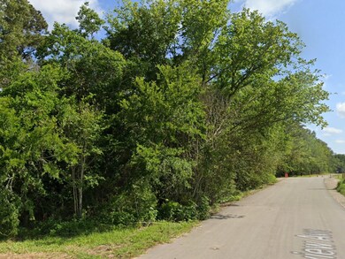 TBD Clearview Ave, Friendswood, TX 77546 - photo 5