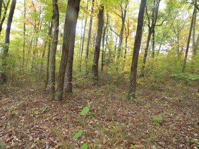 100_3631 - Copy