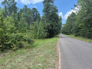 0 County Road 51 Greensboro unit AL 36744, Greensboro, AL 36744 - photo 4