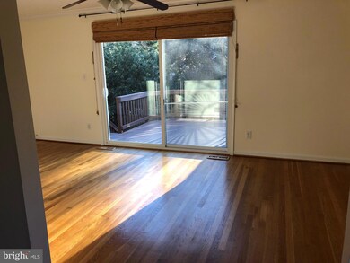 5614 Harding Ave, Alexandria, VA 22311 - photo 5