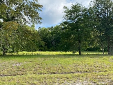 0 SE 64th St unit 24160643, Lake Butler, FL 32054 - photo 3