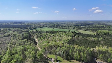 0 Skull Shoals Rd unit 23220093, Washington, GA 30673 - photo 2