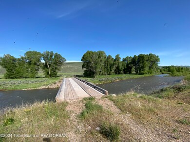 IMG_7582