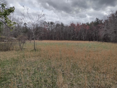 IMG_20250402_142530236_HDR