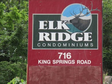 716 King Springs Rd unit 6, Johnson City, TN 37601 - photo 2