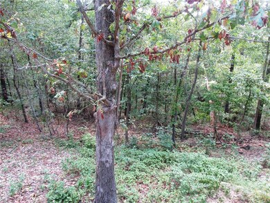 13 Bytham Cir, Bella Vista, AR 72714 - photo 7