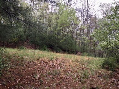 12949 Cass Rd, Cass, WV 24927 - photo 6