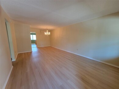 5080 Locust St NE unit 223, Saint Petersburg, FL 33703 - photo 4