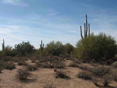 Mountain Views, Saguaros, Cacti