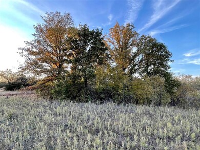 TBD E Lone Star Rd, Weatherford, TX 76088 - photo 6