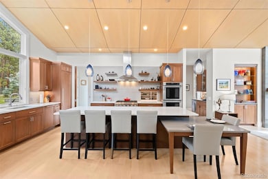 29574 Canterbury Cir, Evergreen, CO 80439 - photo 6