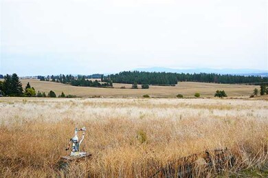 17717 N Austin Rd, Spokane, WA 99208 - photo 4