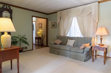 Kinglet_Ct_0037