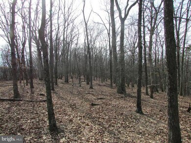 0 Cups Hollow, Sherman, WV - photo 6