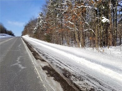 XXX County Hwy B, Hayward, WI 54843 - photo 4