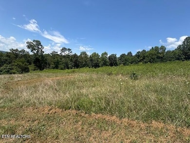 0 Old Harriman Hwy unit 1310037, Harriman, TN 37748 - photo 5